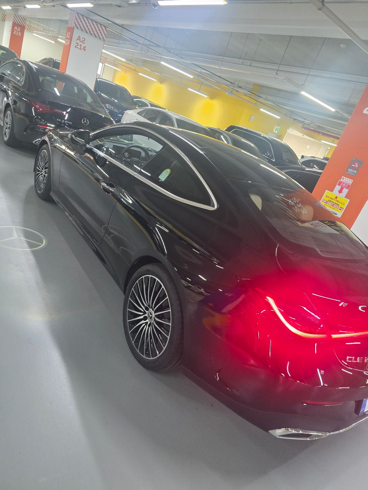 CLE200 أصفااار 