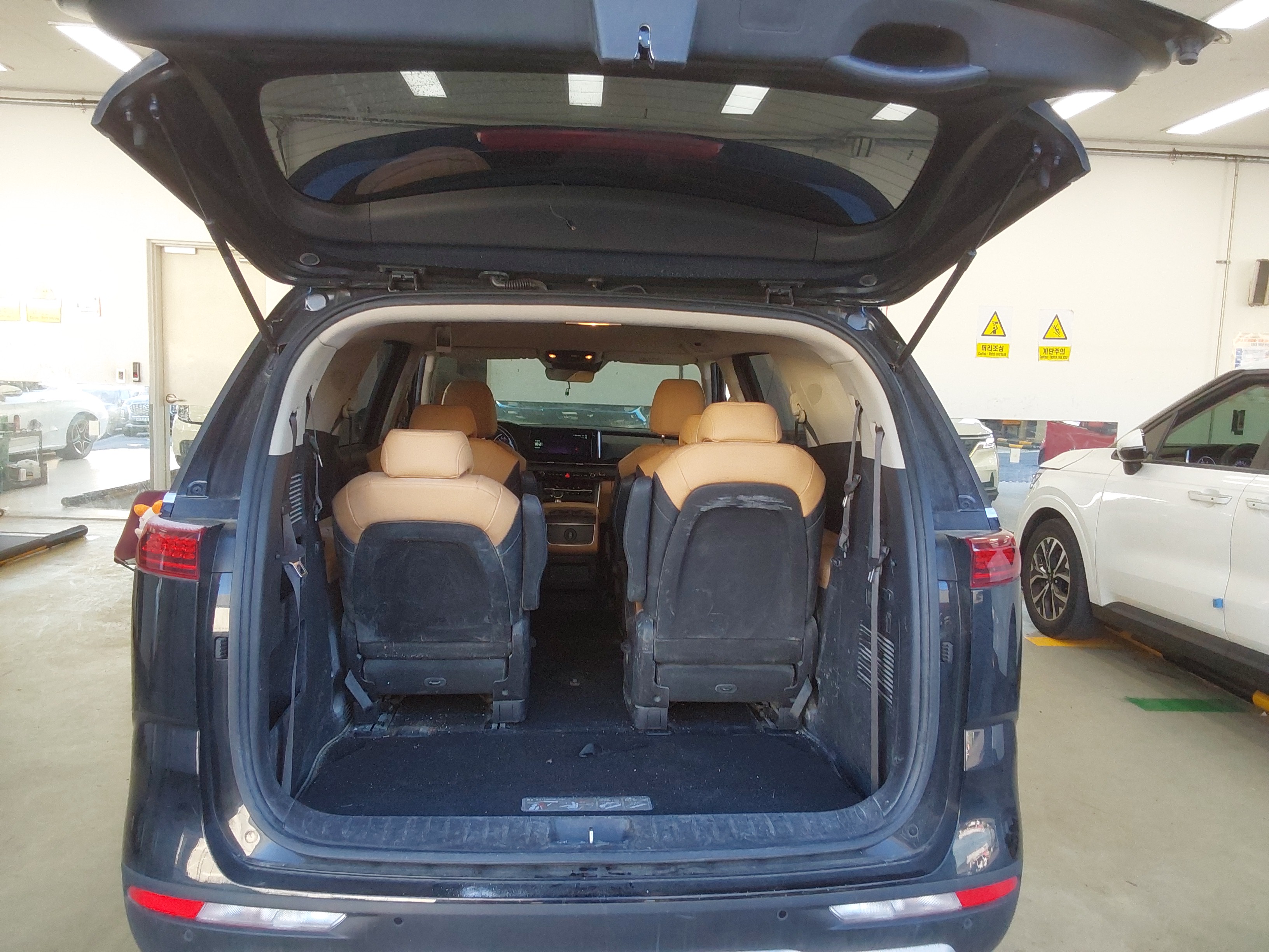 كرنفال -الكود 3169