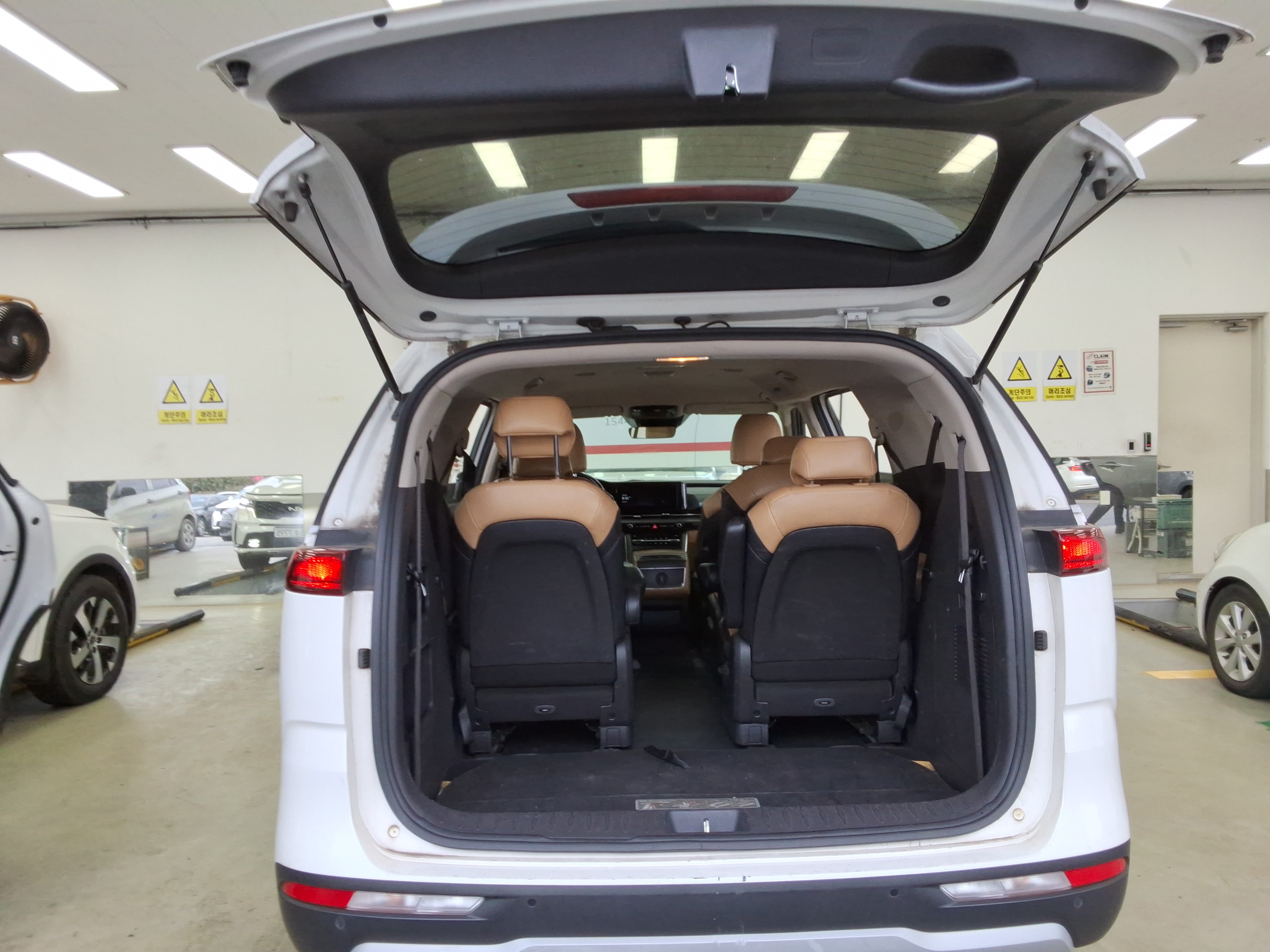 كرنفال -الكود 2296