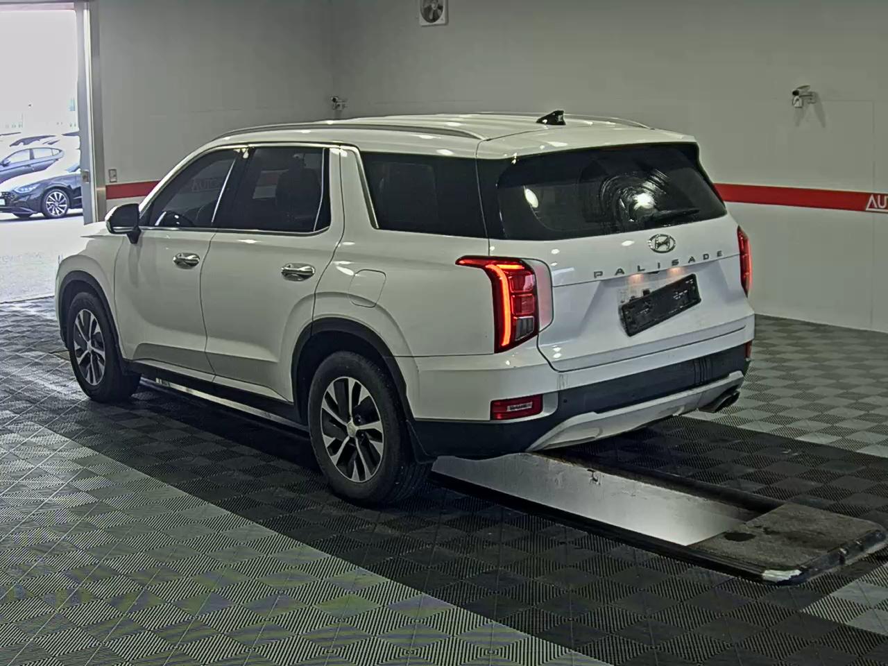 باليسيد -الكود 3190