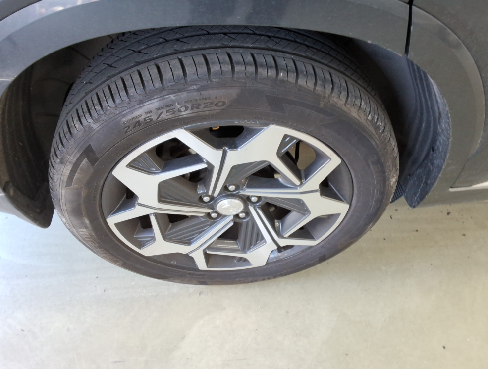 باليسيد_الكود 2491