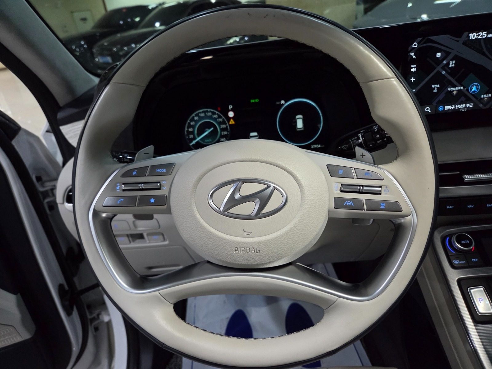 	باليسيد دبل