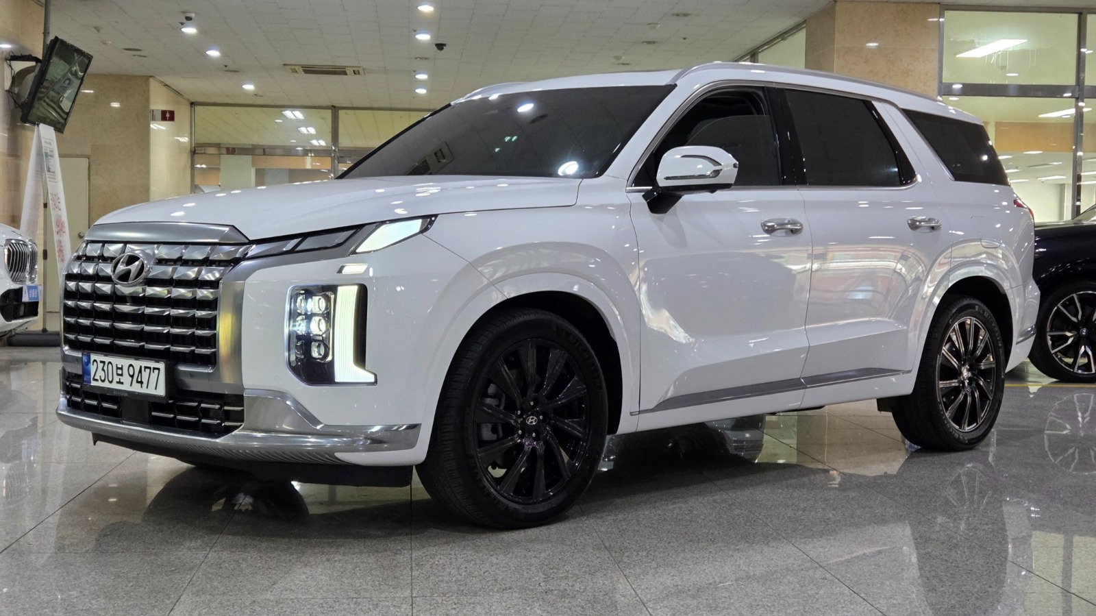 	باليسيد دبل