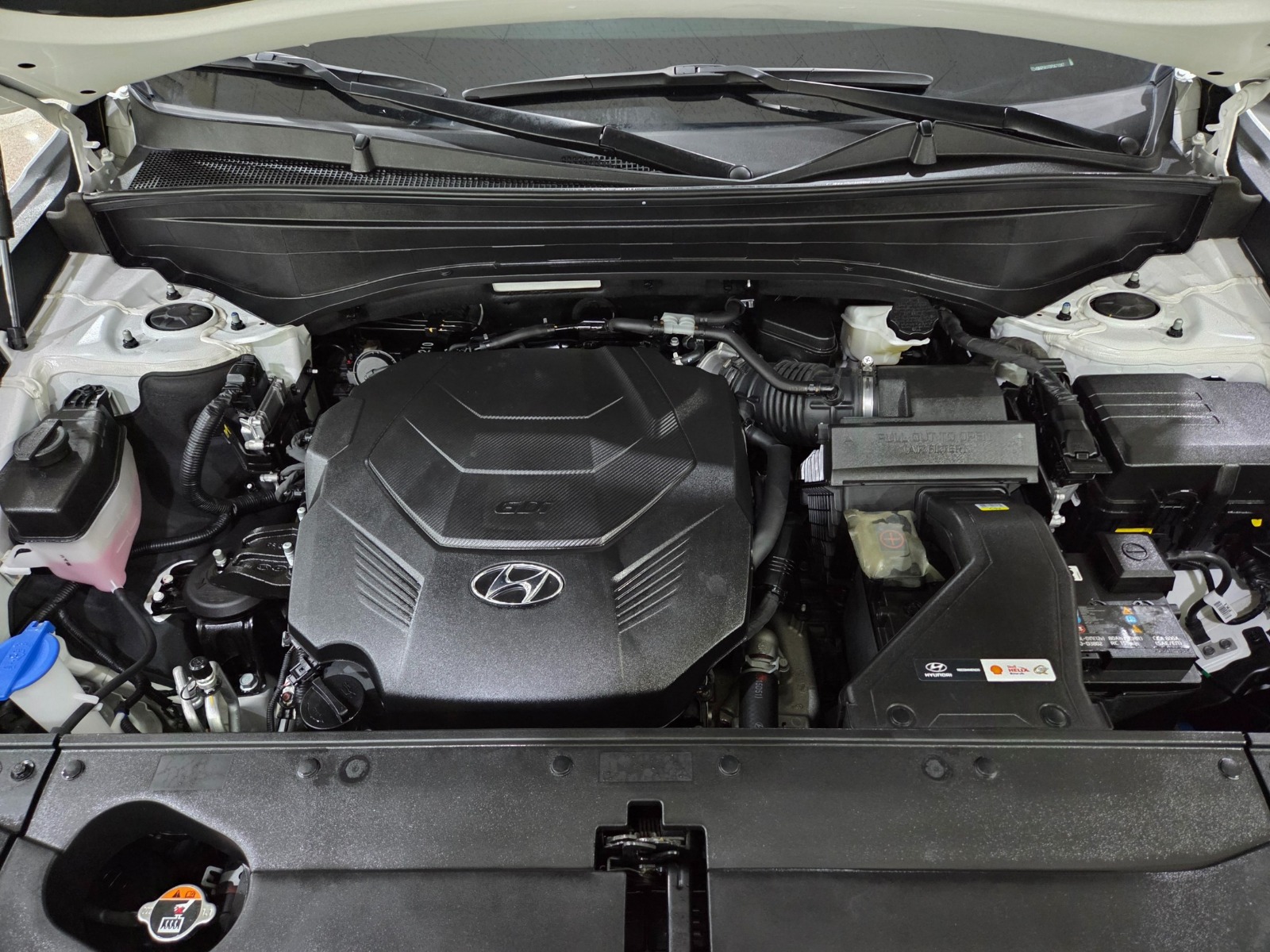 	باليسيد دبل