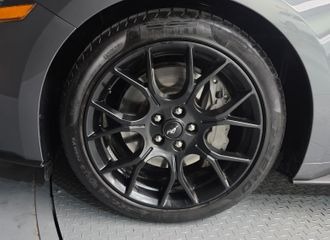 فورد موستنق