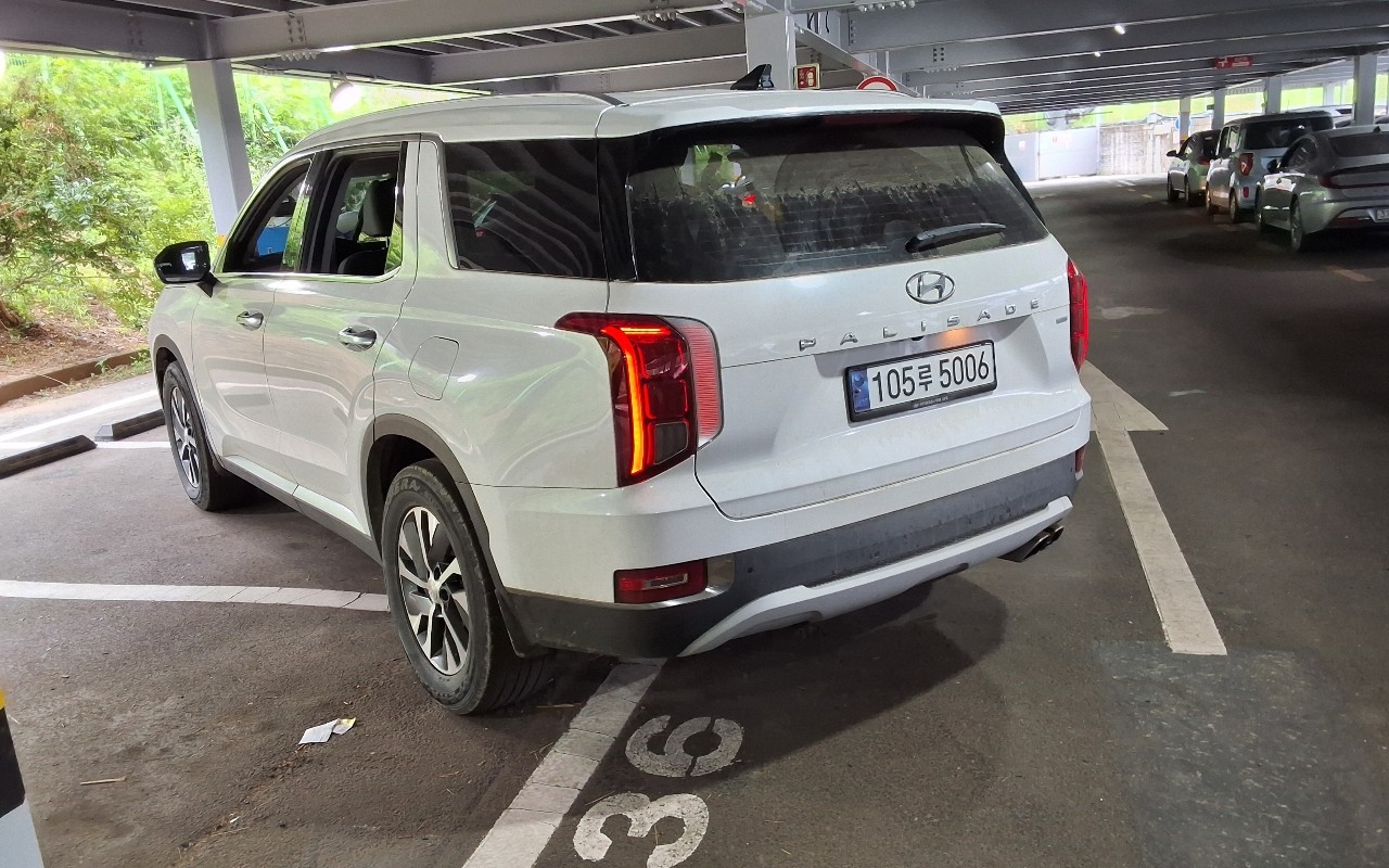 باليسيد