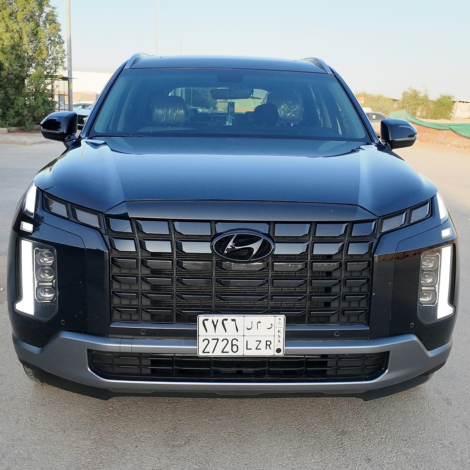 باليسيد 