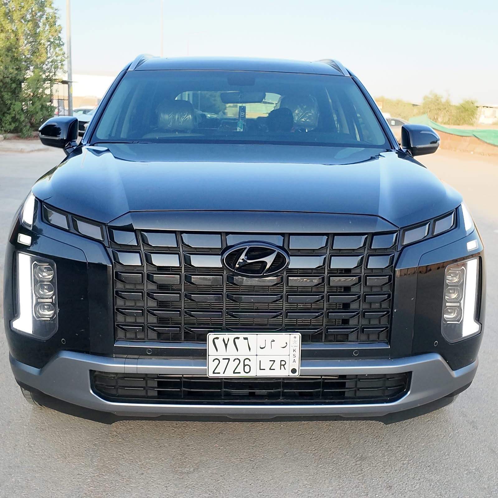 باليسيد 